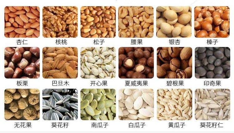堅果色選機(圖2)