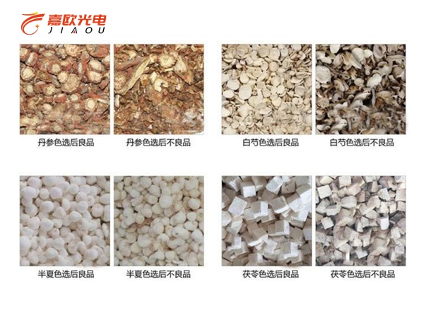 藥材色選機的應(yīng)用讓金銀花品質(zhì)更高