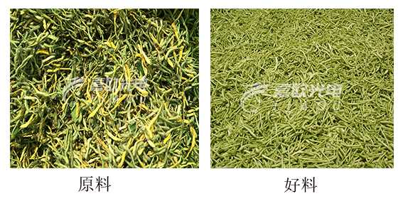 履帶式色選機(jī)色選的物料