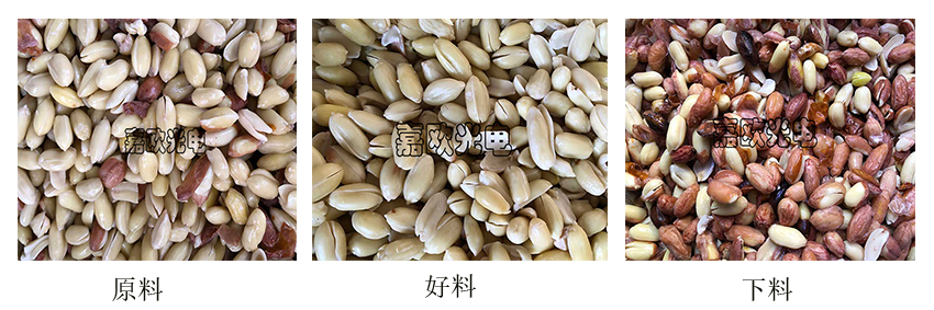 花生分選