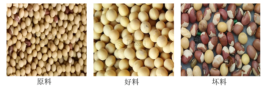 色選大豆對比圖