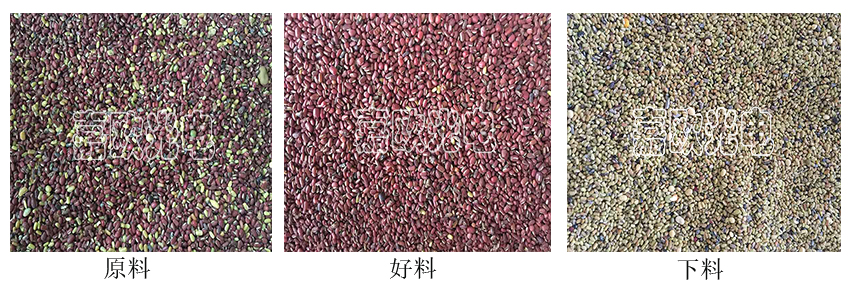 紅豆